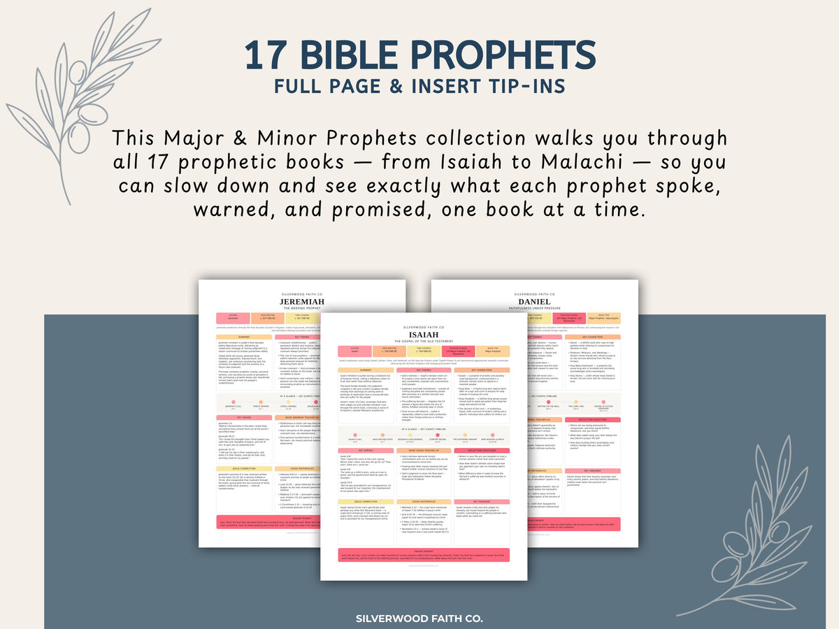 17 Bible Prophets Bible Study Guide, Major and Minor Bible Book Prophet Summaries, Printable Loaded Bible Insert Tip Ins (Digital Download)