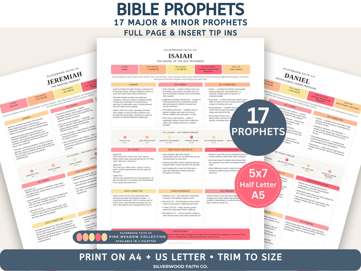 17 Bible Prophets Bible Study Guide, Major and Minor Bible Book Prophet Summaries, Printable Loaded Bible Insert Tip Ins (Digital Download)