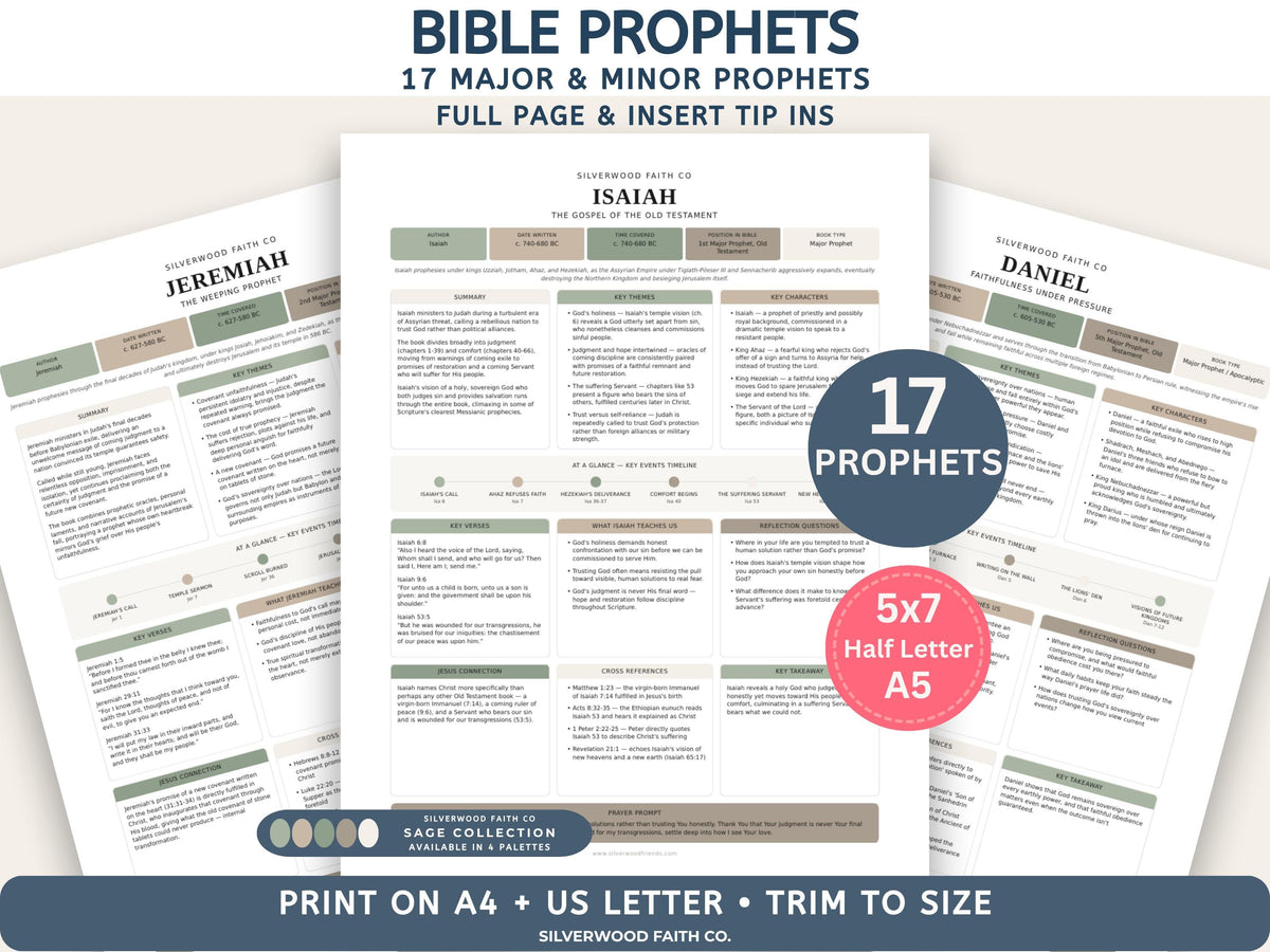 17 Bible Prophets Bible Study Guide, Major and Minor Bible Book Prophet Summaries, Printable Loaded Bible Insert Tip Ins (Digital Download)
