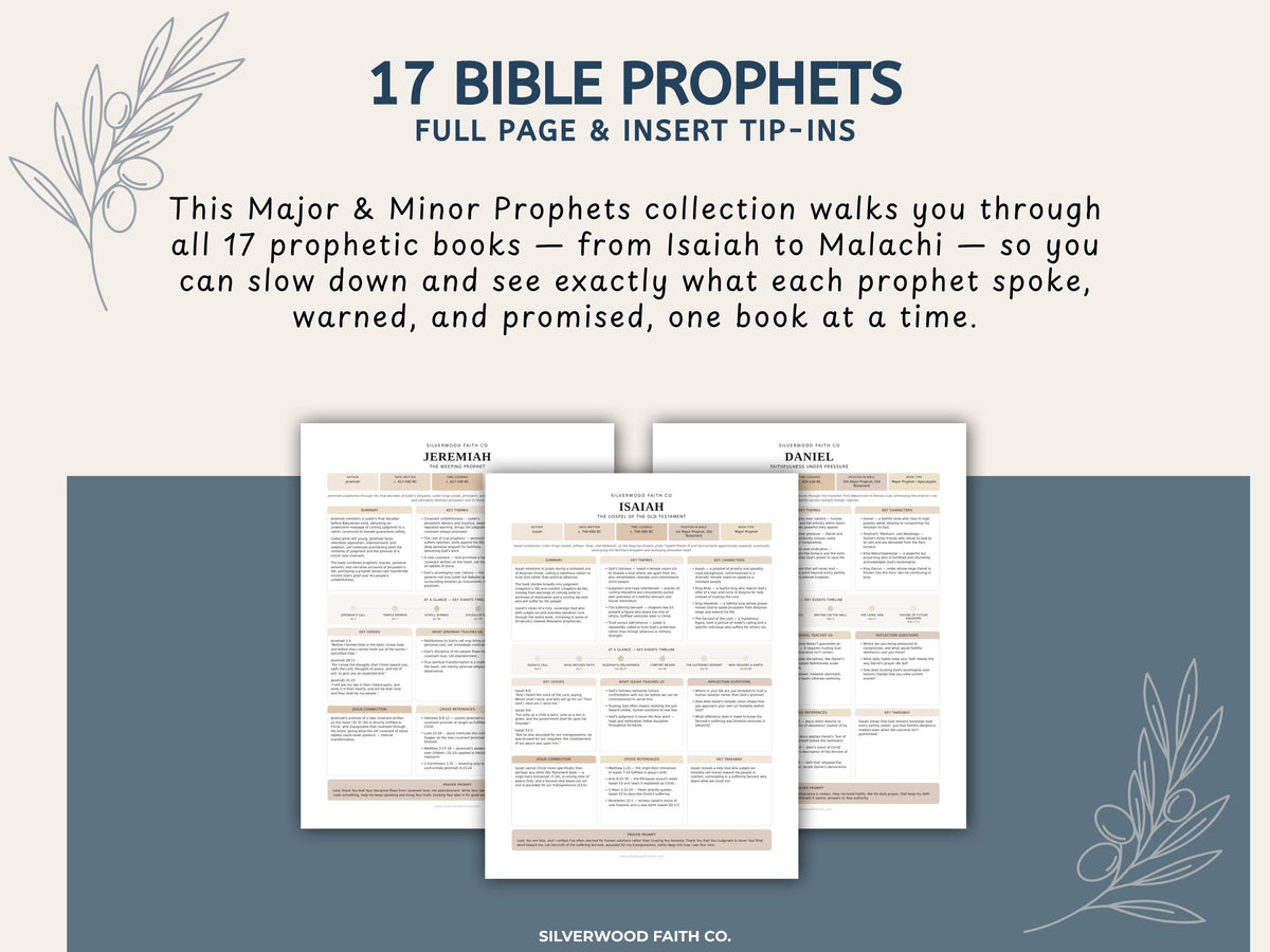 17 Bible Prophets Bible Study Guide, Major and Minor Bible Book Prophet Summaries, Printable Loaded Bible Insert Tip Ins (Digital Download)