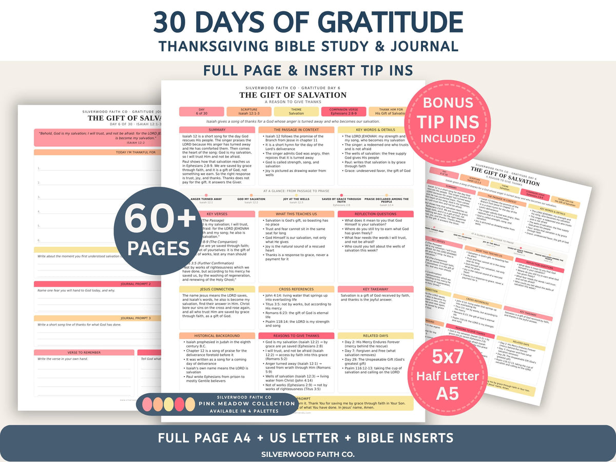 Thanksgiving 30 Day Gratitude Bible Study Guide, Bible Study Inserts, Bible Tips Ins, Thanksgiving Bible Verse Printable (Digital Download)