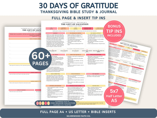 Thanksgiving 30 Day Gratitude Bible Study Guide, Bible Study Inserts, Bible Tips Ins, Thanksgiving Bible Verse Printable (Digital Download)