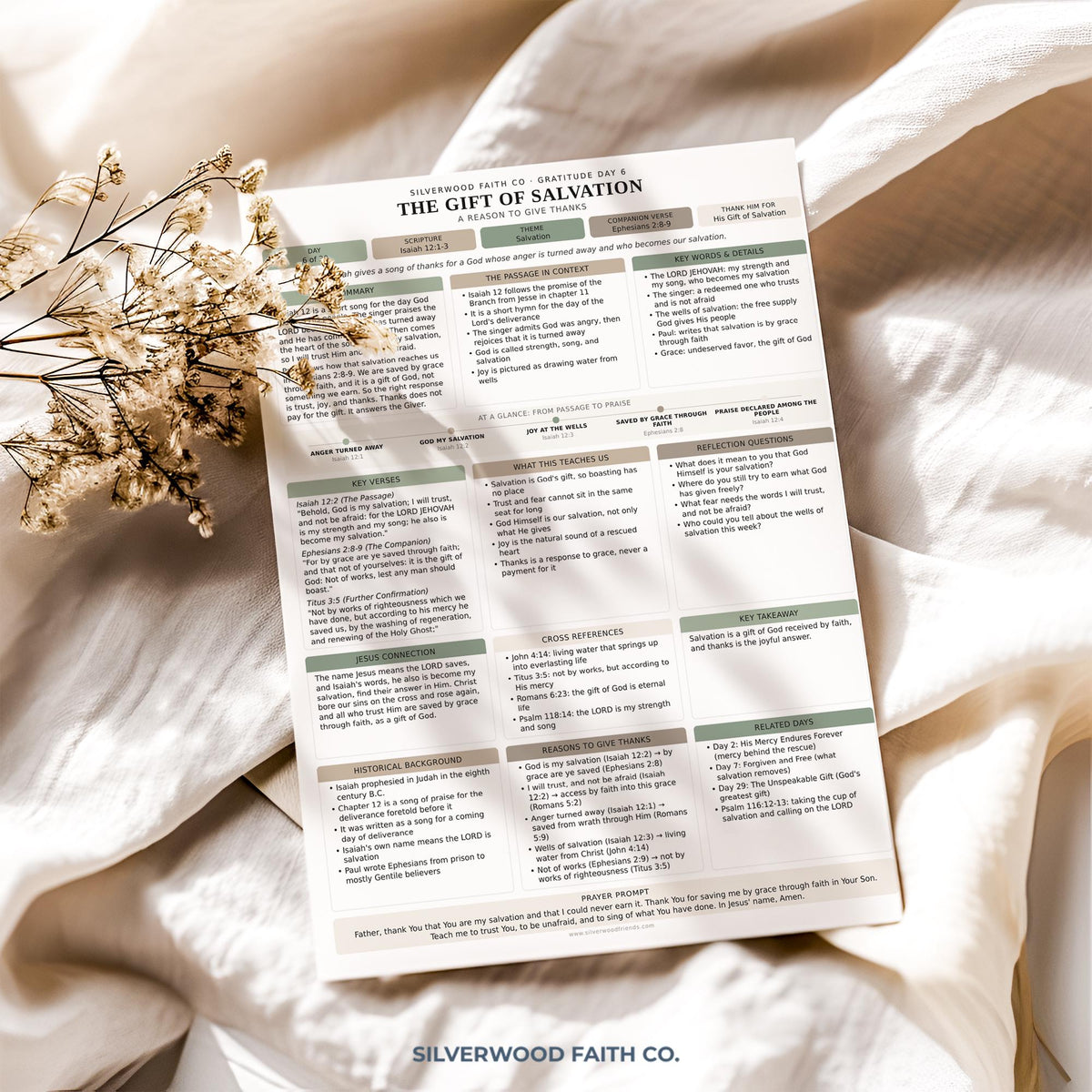 Thanksgiving 30 Day Gratitude Bible Study Guide, Sage Green Bible Study Inserts, Bible Tips Ins, Thanksgiving Bible Verse (Digital Download)