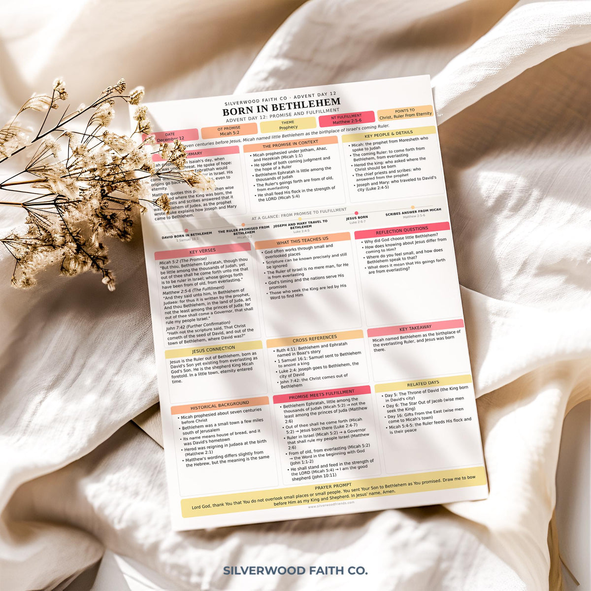 Advent Bible Study Guide, 25 Days of Advent Bible Study Inserts, Christmas Bible Study Tip Ins, Promise and Fulfillment (Digital Download)