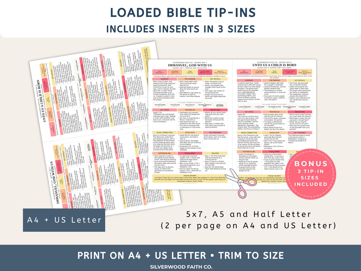 Advent Bible Study Guide, 25 Days of Advent Bible Study Inserts, Christmas Bible Study Tip Ins, Promise and Fulfillment (Digital Download)