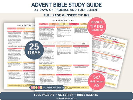 Advent Bible Study Guide, 25 Days of Advent Bible Study Inserts, Christmas Bible Study Tip Ins, Promise and Fulfillment (Digital Download)