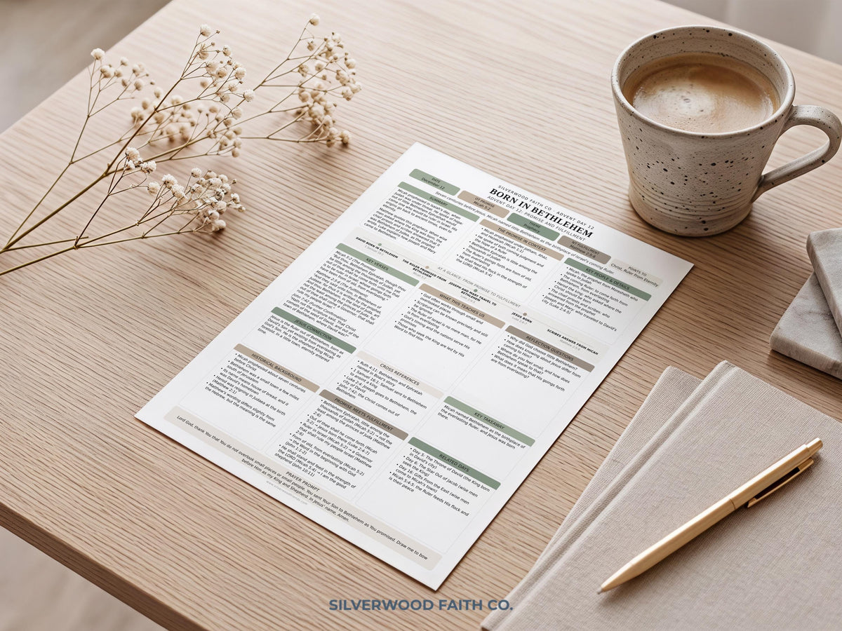 Advent Bible Study Guide, 25 Days of Advent Bible Study Inserts, Christmas Bible Study Tip Ins, Promise and Fulfillment (Digital Download)