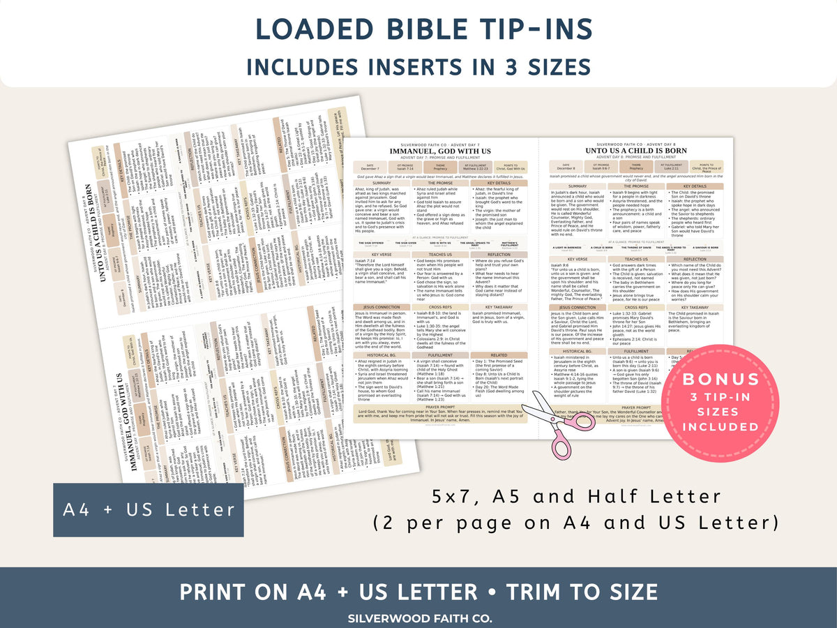 Advent Bible Study Guide, 25 Days of Advent Bible Study Inserts, Christmas Bible Study Tip Ins, Promise and Fulfillment (Digital Download)
