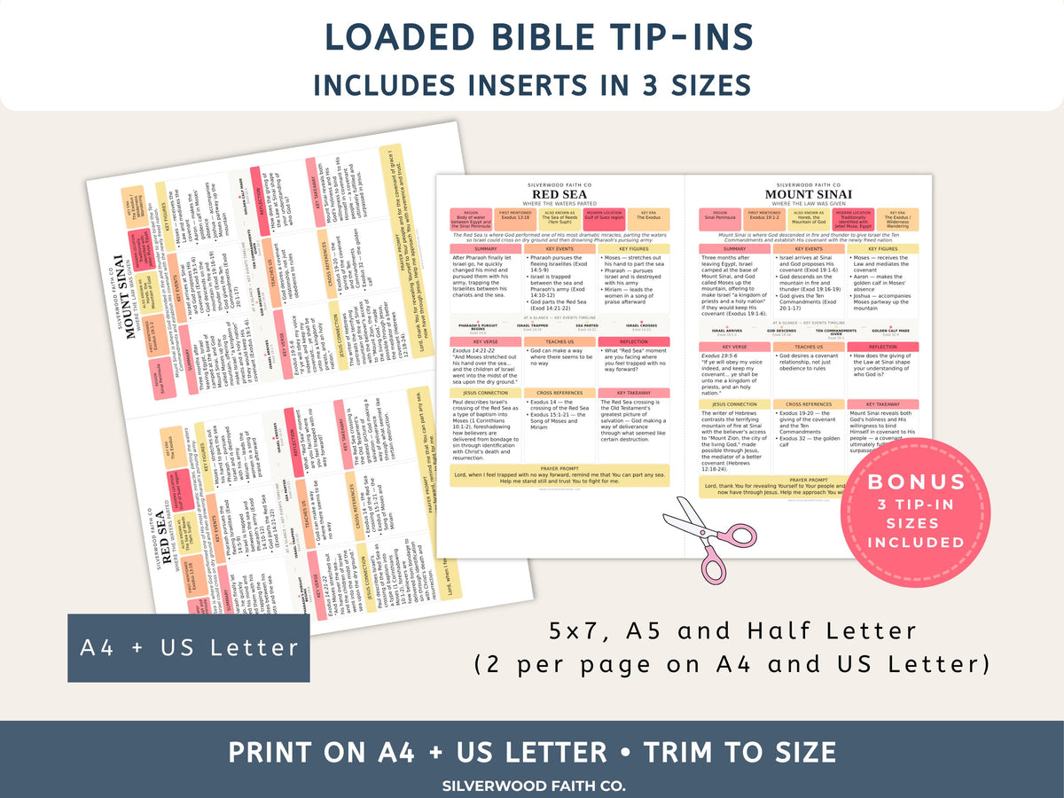 75 Biblical Locations Bible Study Inserts: Tips Ins, Bible Location Study Guide, Bible Summaries, Printable PDF, PINK (Digital Download)