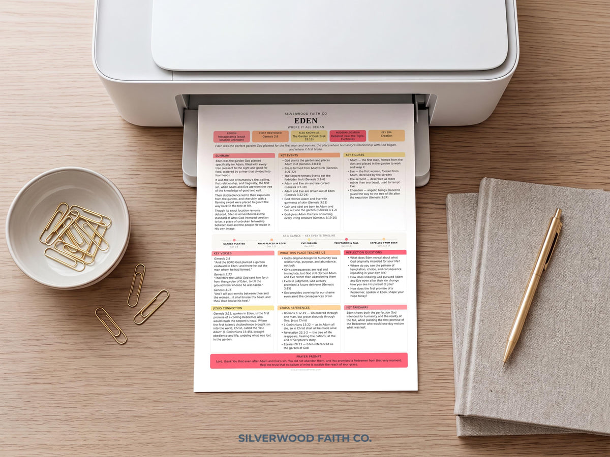 75 Biblical Locations Bible Study Inserts: Tips Ins, Bible Location Study Guide, Bible Summaries, Printable PDF, PINK (Digital Download)