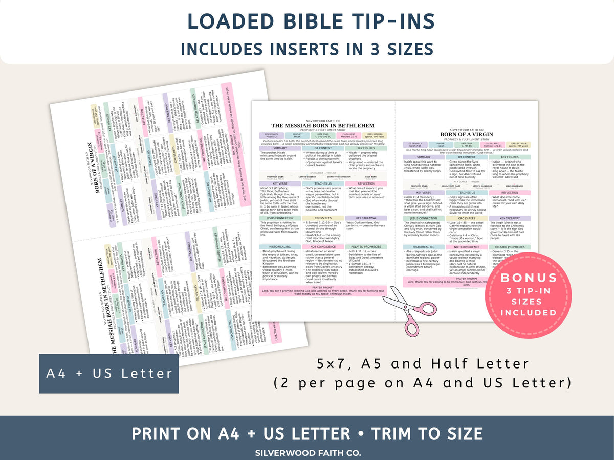 50 Prophecies Fulfilled Bible Study Inserts: Tips Ins, Bible Prophecy Study Guide, Old Testament Prophecy Printable PDF (Digital Download)