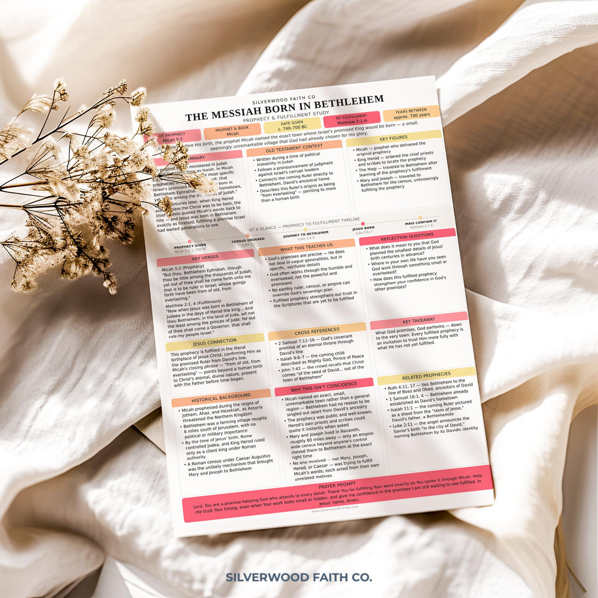 50 Prophecies Fulfilled Bible Study Inserts: Tips Ins, Bible Prophecy Study Guide, Old Testament Prophecy Printable PDF (Digital Download)