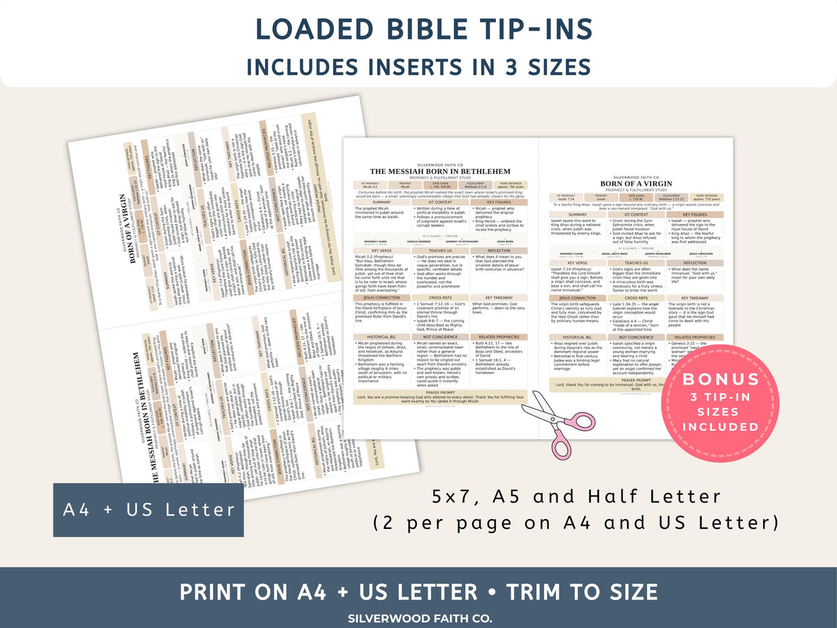 50 Prophecies Fulfilled Bible Study Inserts: Tips Ins, Bible Prophecy Study Guide, Old Testament Prophecy Printable PDF (Digital Download)