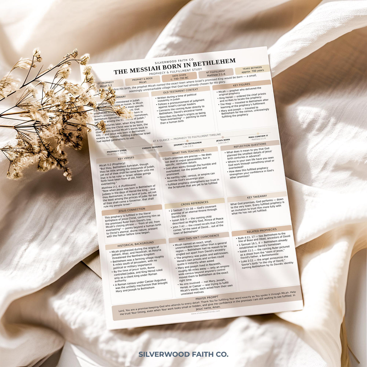 50 Prophecies Fulfilled Bible Study Inserts: Tips Ins, Bible Prophecy Study Guide, Old Testament Prophecy Printable PDF (Digital Download)
