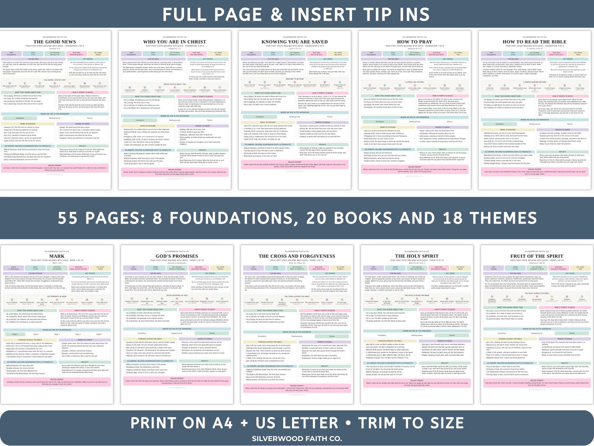 Beginner Bible Study Guide Inserts, Bible Study Tip Ins, New Believer Bible Study Guide, New Believer Baptism Gift, PDF (Digital Download)