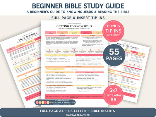 Beginner Bible Study Guide Inserts, Bible Study Tip Ins, New Believer Bible Study Guide, New Believer Baptism Gift, PDF (Digital Download)