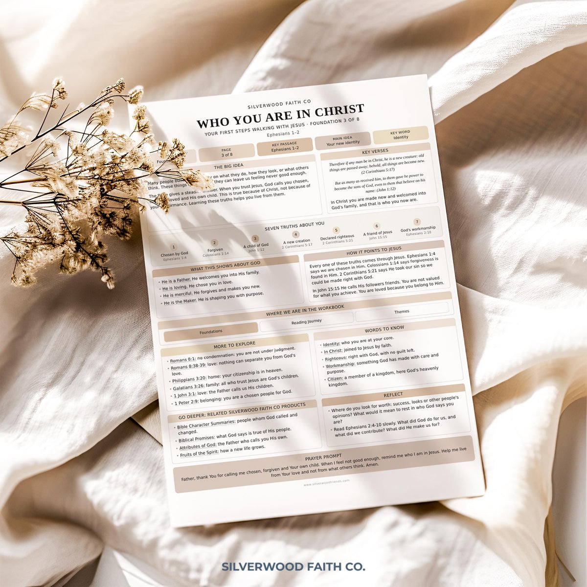 Beginner Bible Study Guide Inserts, Bible Study Tip Ins, New Believer Bible Study Guide, New Believer Baptism Gift, PDF (Digital Download)