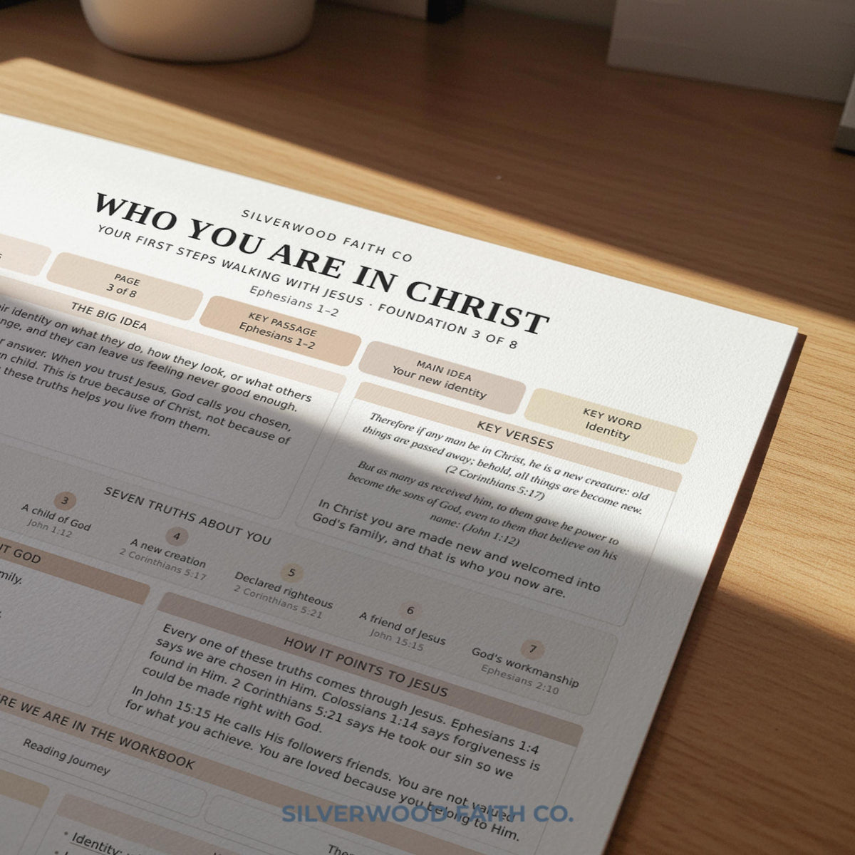 Beginner Bible Study Guide Inserts, Bible Study Tip Ins, New Believer Bible Study Guide, New Believer Baptism Gift, PDF (Digital Download)