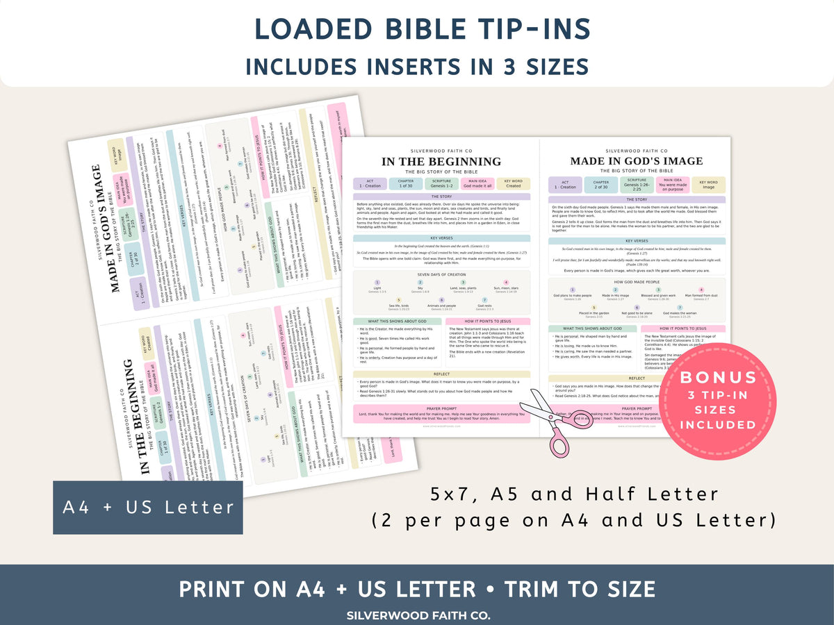 Bible Story Study Guide Printable, Bible Study Guides for Beginners, New Believer Bible Summaries, Sunday School Lessons, (Digital Download)