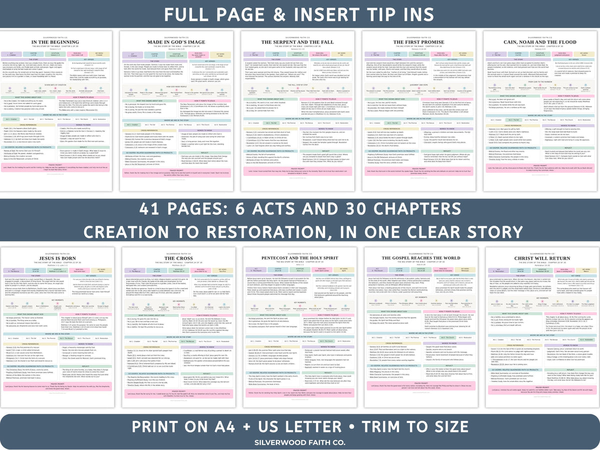 Bible Story Study Guide Printable, Bible Study Guides for Beginners, New Believer Bible Summaries, Sunday School Lessons, (Digital Download)