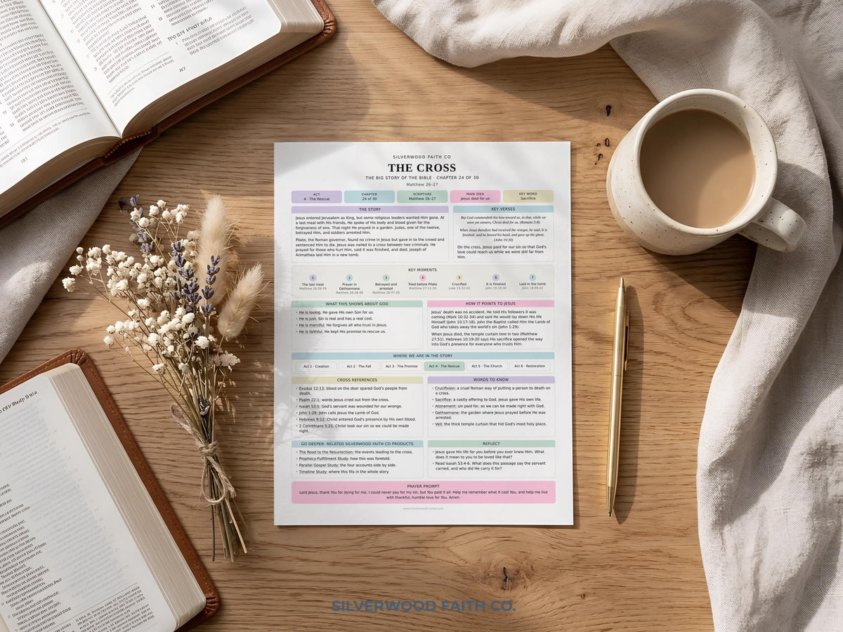 Bible Story Study Guide Printable, Bible Study Guides for Beginners, New Believer Bible Summaries, Sunday School Lessons, (Digital Download)