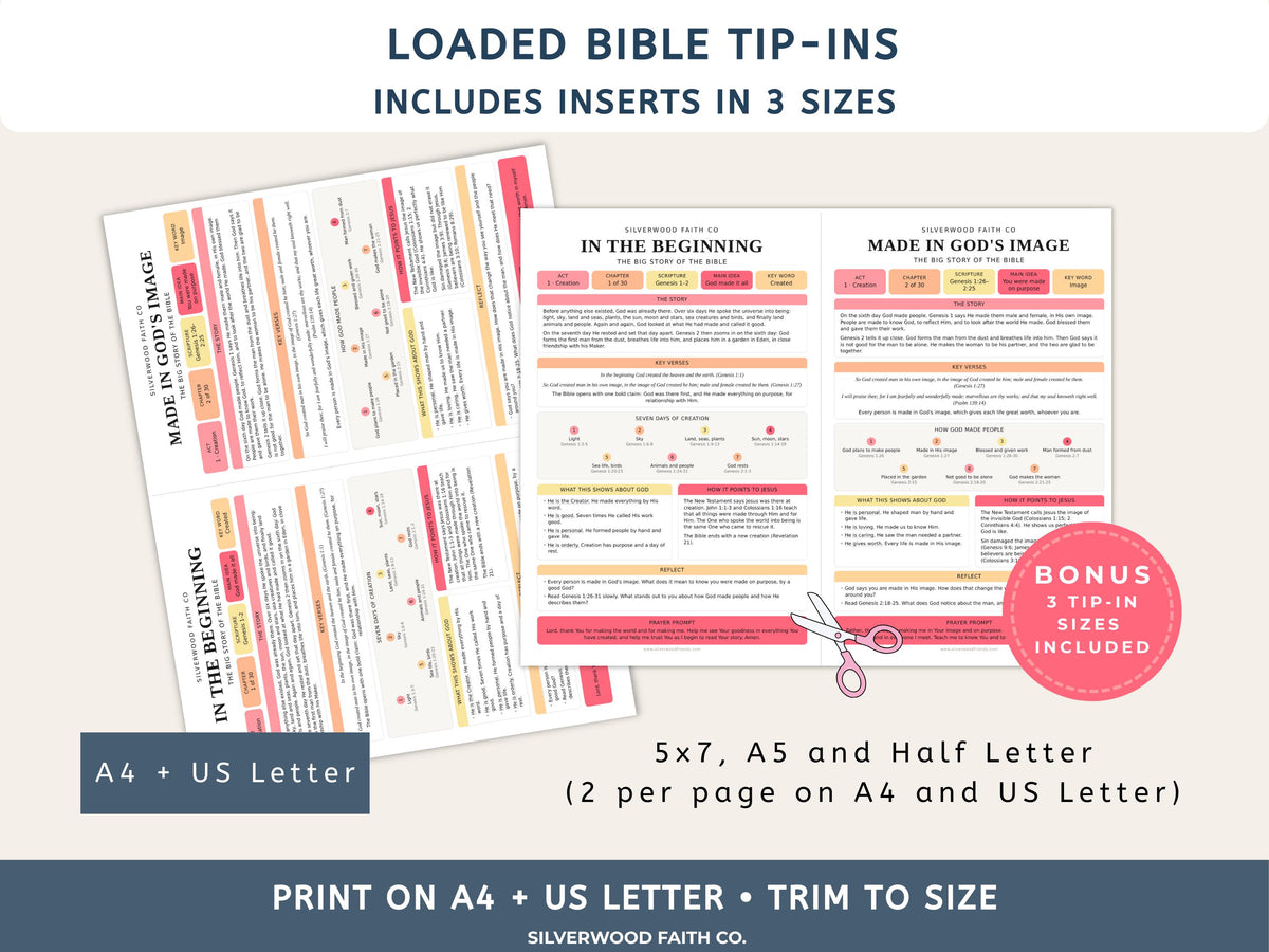 Bible Story Study Guide Printable, Bible Study Guides for Beginners, New Believer Bible Summaries, Sunday School Lessons, (Digital Download)