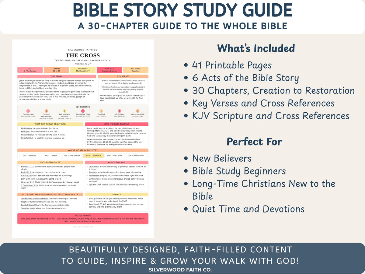 Bible Story Study Guide Printable, Bible Study Guides for Beginners, New Believer Bible Summaries, Sunday School Lessons, (Digital Download)