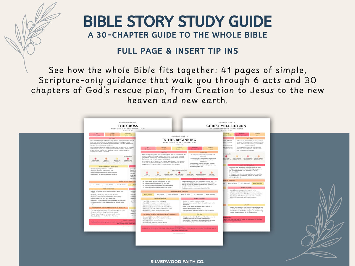 Bible Story Study Guide Printable, Bible Study Guides for Beginners, New Believer Bible Summaries, Sunday School Lessons, (Digital Download)