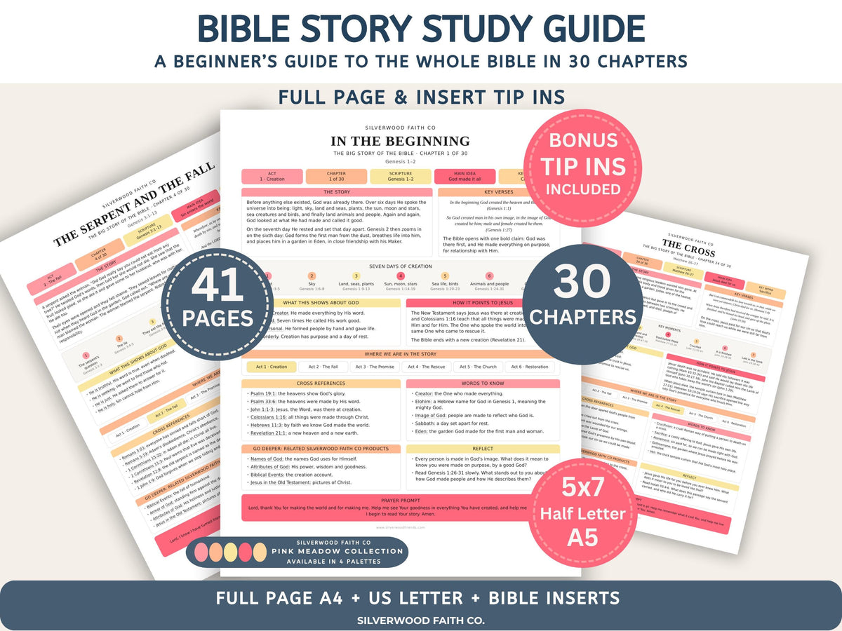 Bible Story Study Guide Printable, Bible Study Guides for Beginners, New Believer Bible Summaries, Sunday School Lessons, (Digital Download)