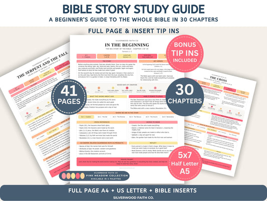 Bible Story Study Guide Printable, Bible Study Guides for Beginners, New Believer Bible Summaries, Sunday School Lessons, (Digital Download)