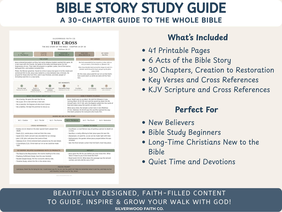 Bible Story Study Guide Printable, Bible Study Guides for Beginners, New Believer Bible Summaries, Sunday School Lessons, (Digital Download)