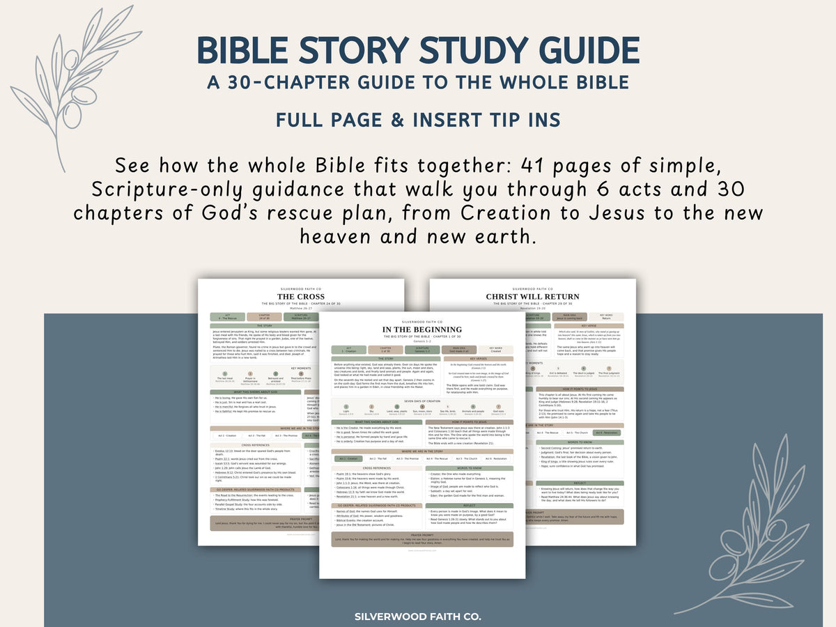 Bible Story Study Guide Printable, Bible Study Guides for Beginners, New Believer Bible Summaries, Sunday School Lessons, (Digital Download)