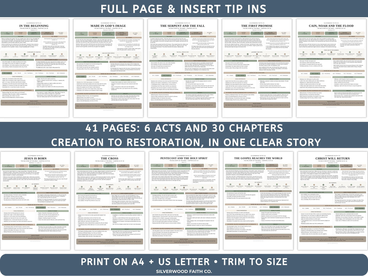 Bible Story Study Guide Printable, Bible Study Guides for Beginners, New Believer Bible Summaries, Sunday School Lessons, (Digital Download)