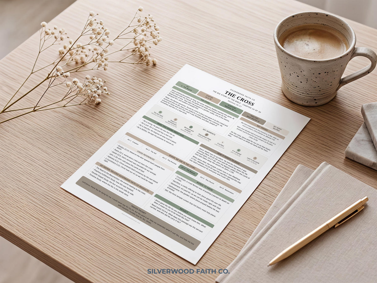 Bible Story Study Guide Printable, Bible Study Guides for Beginners, New Believer Bible Summaries, Sunday School Lessons, (Digital Download)