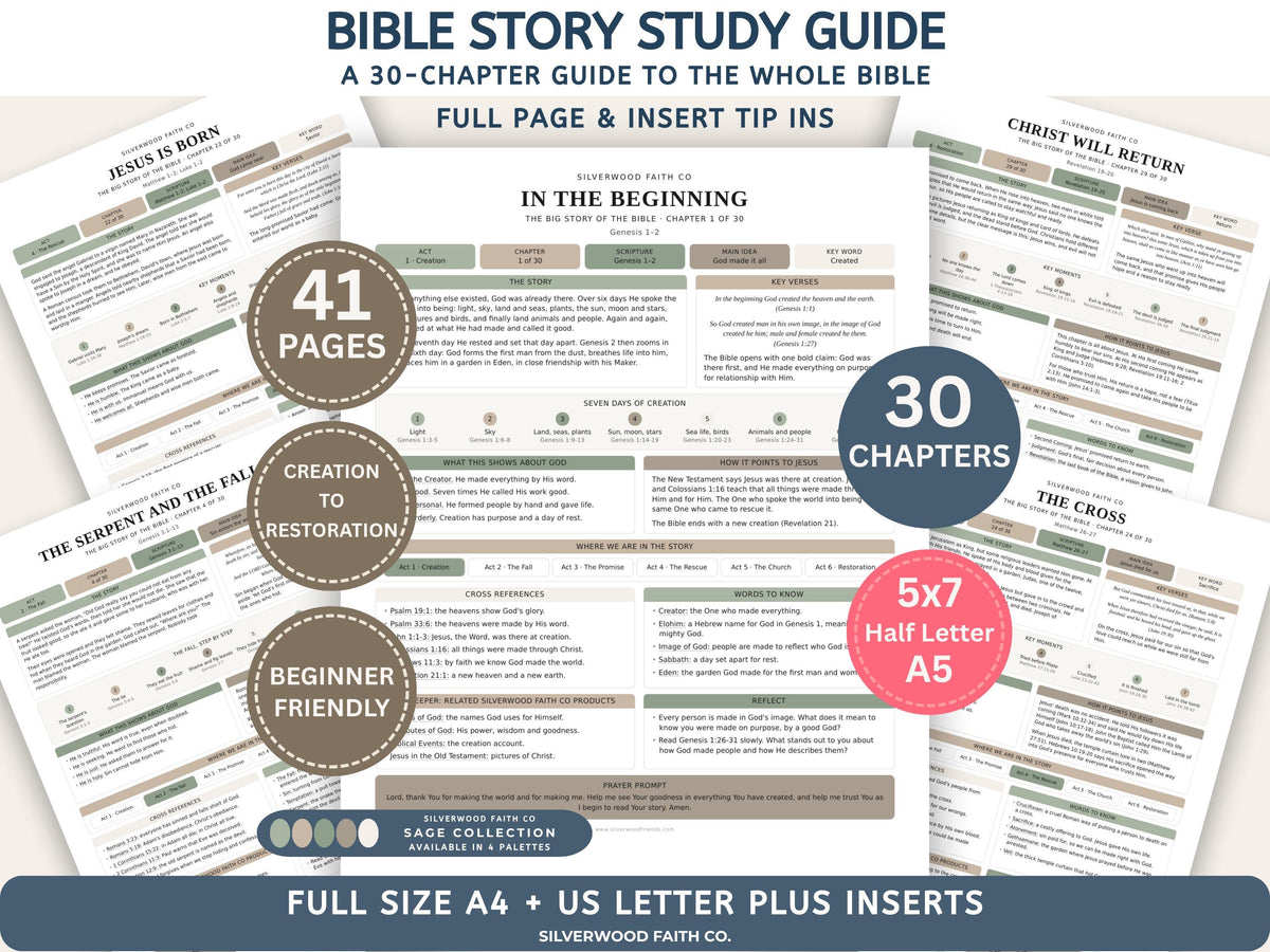 Bible Story Study Guide Printable, Bible Study Guides for Beginners, New Believer Bible Summaries, Sunday School Lessons, (Digital Download)