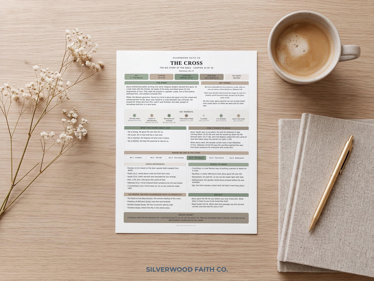 Bible Story Study Guide Printable, Bible Study Guides for Beginners, New Believer Bible Summaries, Sunday School Lessons, (Digital Download)