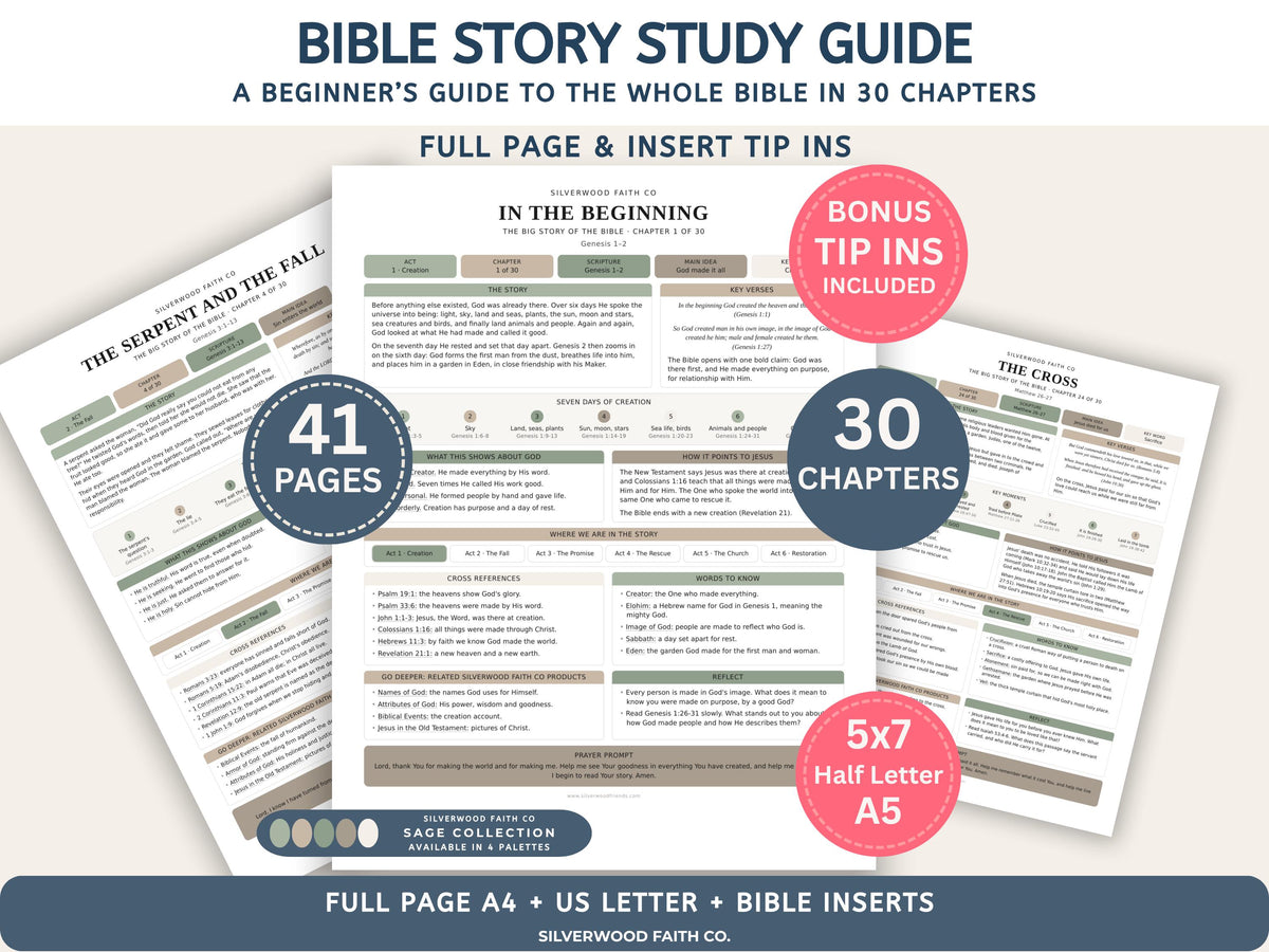 Bible Story Study Guide Printable, Bible Study Guides for Beginners, New Believer Bible Summaries, Sunday School Lessons, (Digital Download)