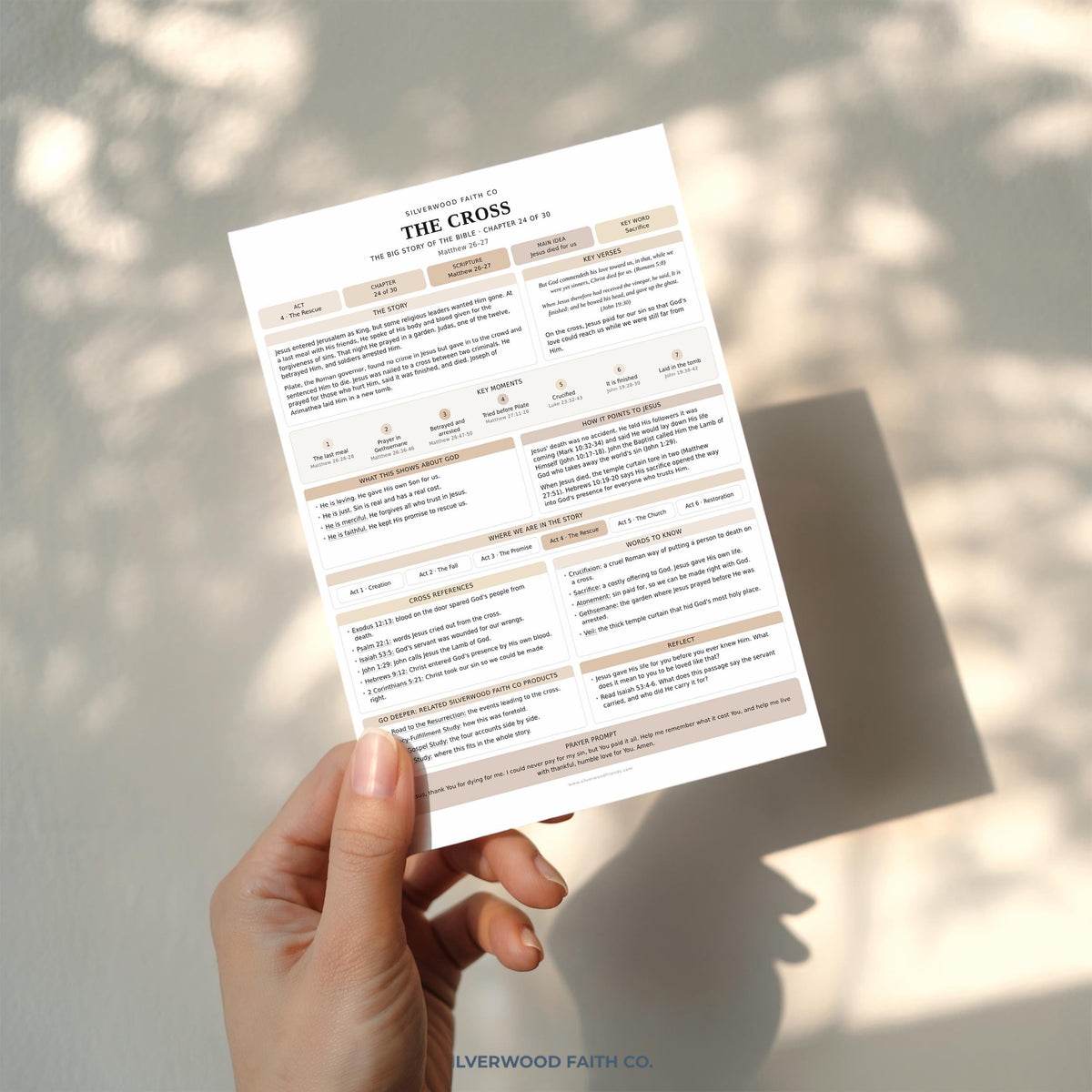 Bible Story Study Guide Printable, Bible Study Guides for Beginners, New Believer Bible Summaries, Sunday School Lessons, (Digital Download)
