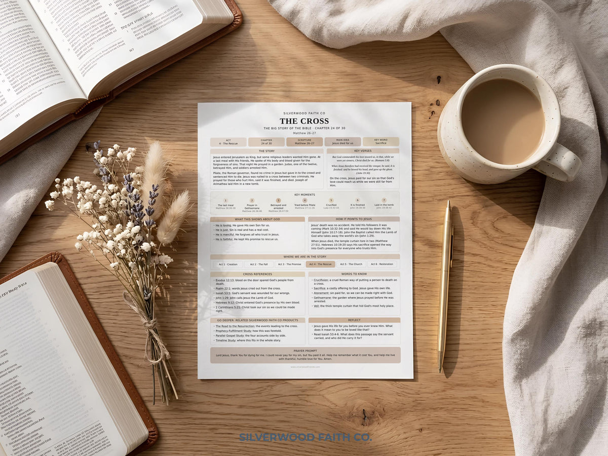 Bible Story Study Guide Printable, Bible Study Guides for Beginners, New Believer Bible Summaries, Sunday School Lessons, (Digital Download)