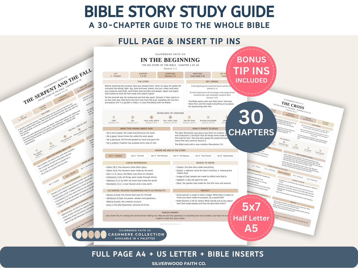 Bible Story Study Guide Printable, Bible Study Guides for Beginners, New Believer Bible Summaries, Sunday School Lessons, (Digital Download)