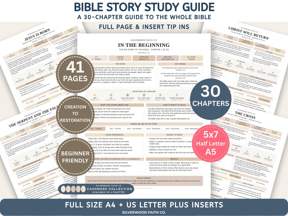 Bible Story Study Guide Printable, Bible Study Guides for Beginners, New Believer Bible Summaries, Sunday School Lessons, (Digital Download)