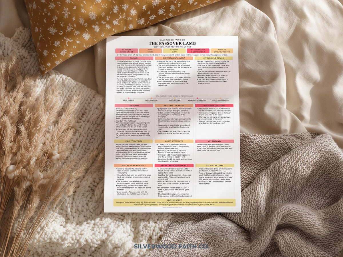 Jesus in the Old Testament Bible Study Guide, Pink Bible Study Inserts, Tips Ins Old Testament Printable Bible Study Guide(Digital Download)