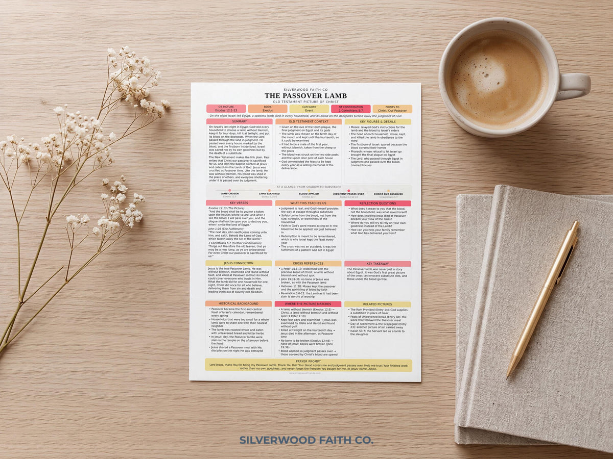 Jesus in the Old Testament Bible Study Guide, Pink Bible Study Inserts, Tips Ins Old Testament Printable Bible Study Guide(Digital Download)