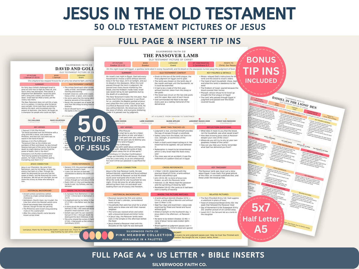 Jesus in the Old Testament Bible Study Guide, Pink Bible Study Inserts, Tips Ins Old Testament Printable Bible Study Guide(Digital Download)