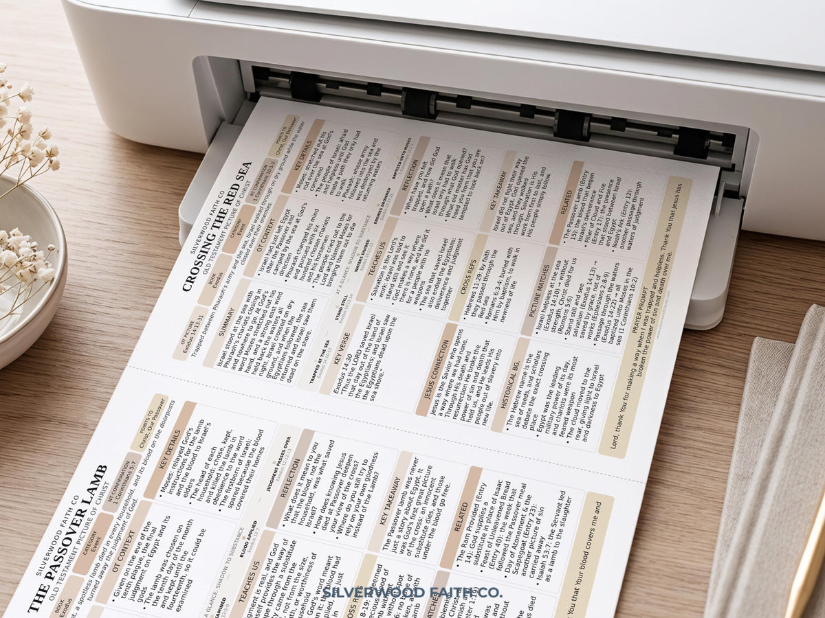 Jesus in the Old Testament Bible Study Guide, Neutral Bible Study Inserts, Tips Ins Old Testament Printable Bible Study (Digital Download)