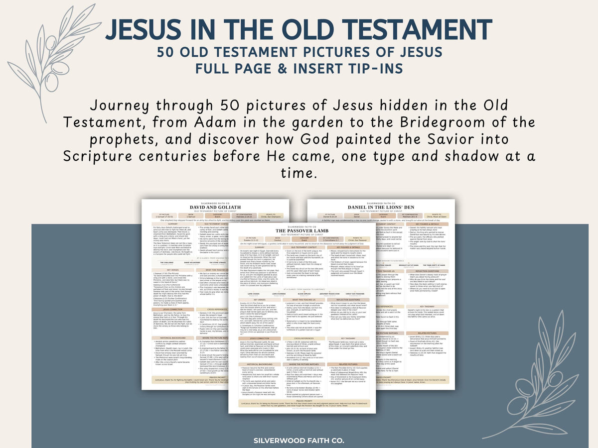 Jesus in the Old Testament Bible Study Guide, Neutral Bible Study Inserts, Tips Ins Old Testament Printable Bible Study (Digital Download)