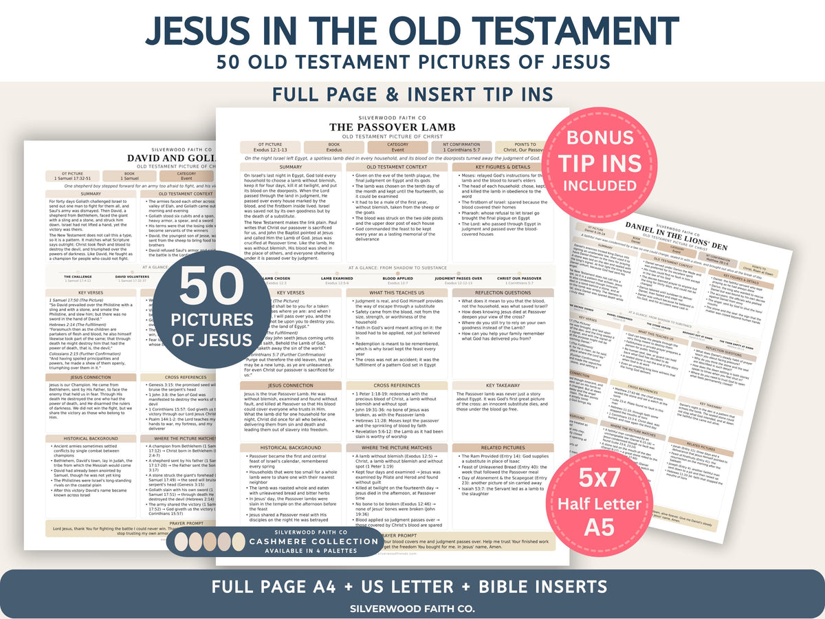 Jesus in the Old Testament Bible Study Guide, Neutral Bible Study Inserts, Tips Ins Old Testament Printable Bible Study (Digital Download)