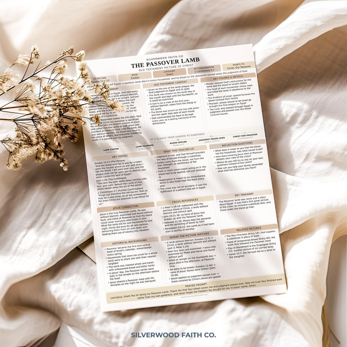 Jesus in the Old Testament Bible Study Guide, Neutral Bible Study Inserts, Tips Ins Old Testament Printable Bible Study (Digital Download)