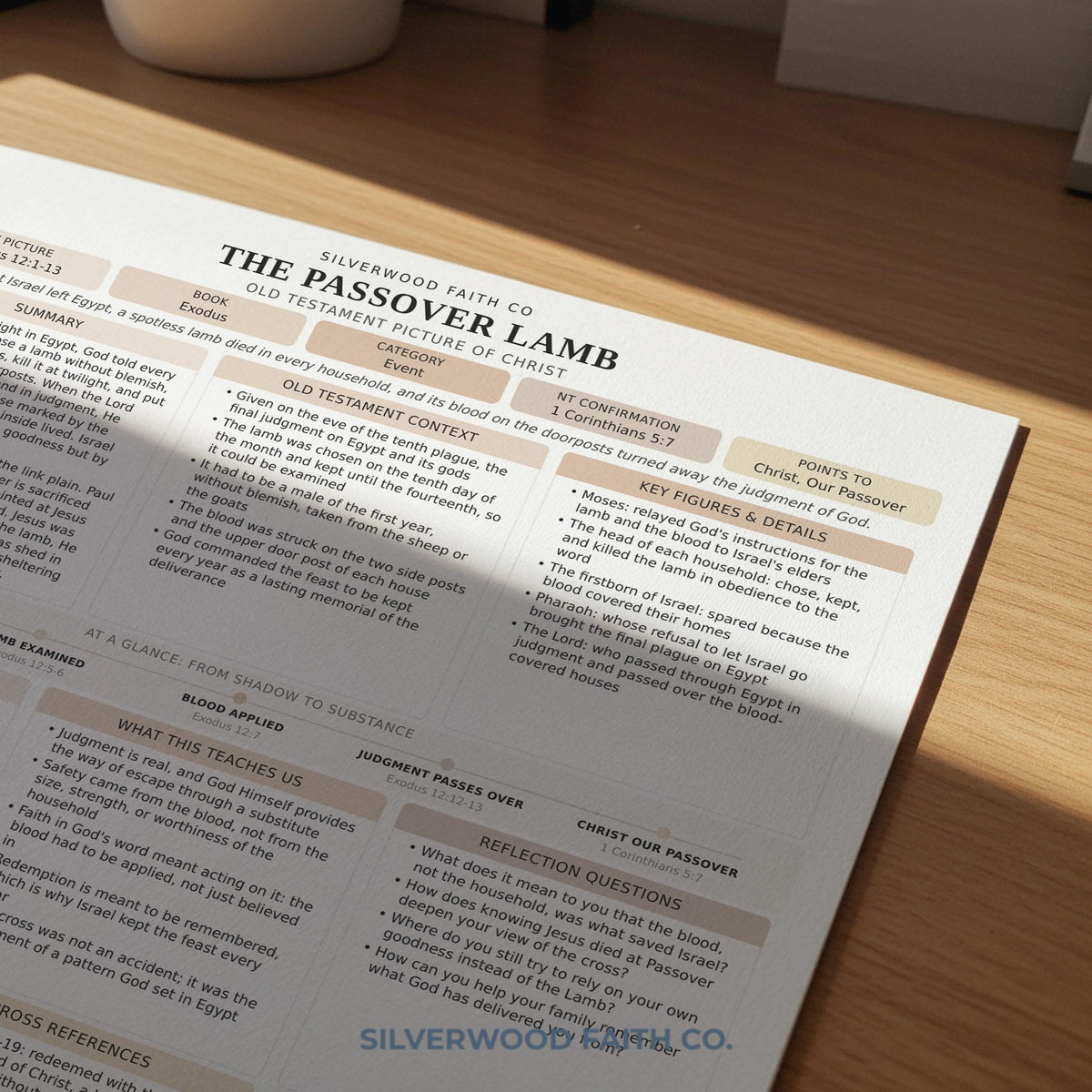Jesus in the Old Testament Bible Study Guide, Neutral Bible Study Inserts, Tips Ins Old Testament Printable Bible Study (Digital Download)