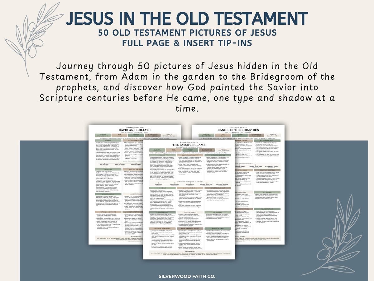 Jesus in the Old Testament Bible Study Guide, Green Bible Study Inserts, Tips Ins Old Testament Printable Bible Study (Digital Download)